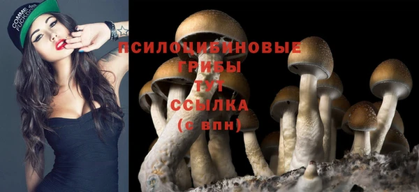 мефедрон Абаза