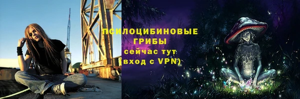 дживик Медвежьегорск